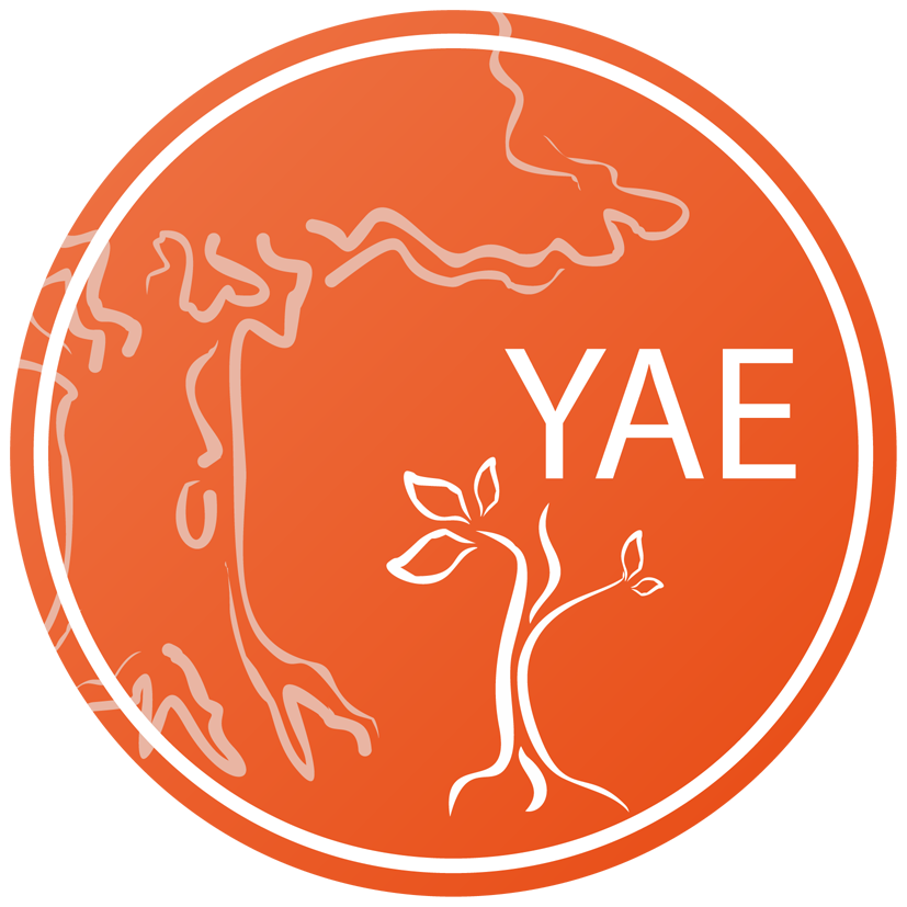 Young Academy of Europe logo